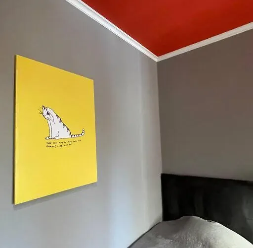 The House Of Colors ティラナ