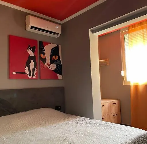 The House Of Colors アパート ティラナ